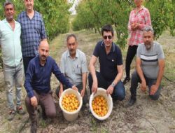 Mut'ta ak alanda kays hasad balad